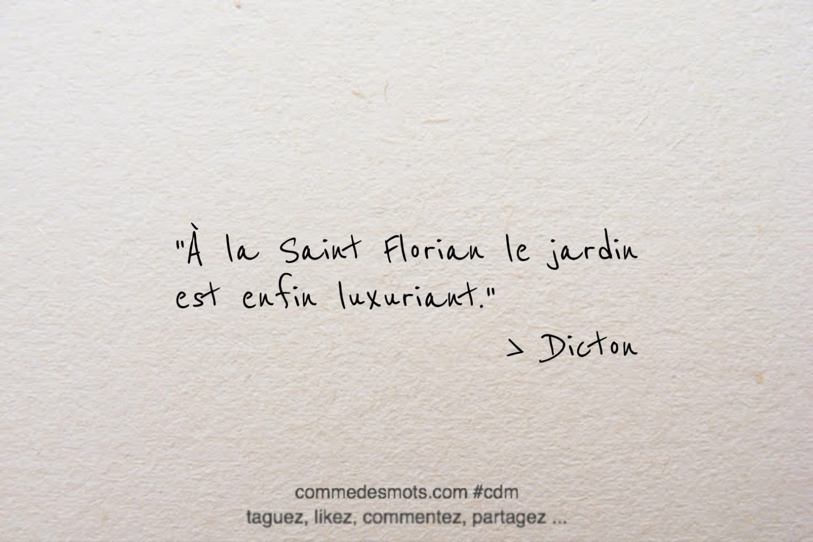 Image d'un dicton pour le 4 mai jour de la Saint Florian écrite en lettres noires sur un fond gris représentant du papier mâché. Le dicton dit : À la Saint Florian le jardin est enfin luxuriant. Les mots sont placés au centre de l'image."