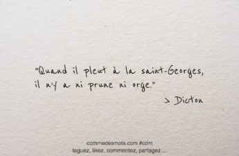 Dicton du 23 avril jour de la Saint Georges : "Le dicton "Quand il pleut à la Saint-Georges, il n'y a ni prune ni orge" signifie que si le jour de la Saint-Georges (le 23 avril), il pleut, cela peut avoir un impact négatif sur les cultures de prunes et d'orge. La pluie peut nuire à la floraison des arbres fruitiers, ce qui peut réduire la production de fruits, y compris de prunes. De même, une pluie excessive peut affecter la croissance et la qualité de l'orge, qui est une céréale largement cultivée dans les régions tempérées. Ainsi, ce dicton rappelle aux agriculteurs et aux jardiniers de prêter attention aux conditions météorologiques lorsqu'ils planifient leurs cultures et de prendre des mesures préventives pour protéger leurs récoltes contre les intempéries."