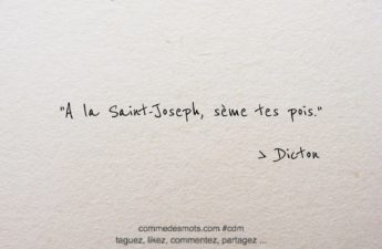 dicton du 19 mars : A la Saint-Joseph, sème tes pois.