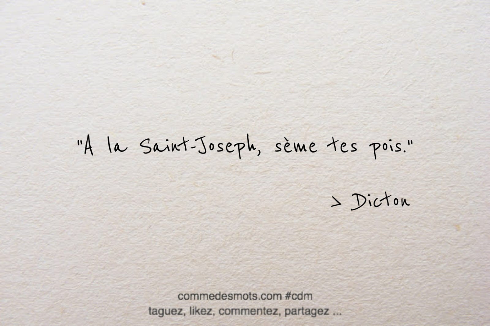 dicton du 19 mars : A la Saint-Joseph, sème tes pois.