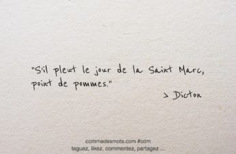 Dicton du 25 avril jour de la Saint Marc : "S’il pleut le jour de la Saint Marc, point de pommes."