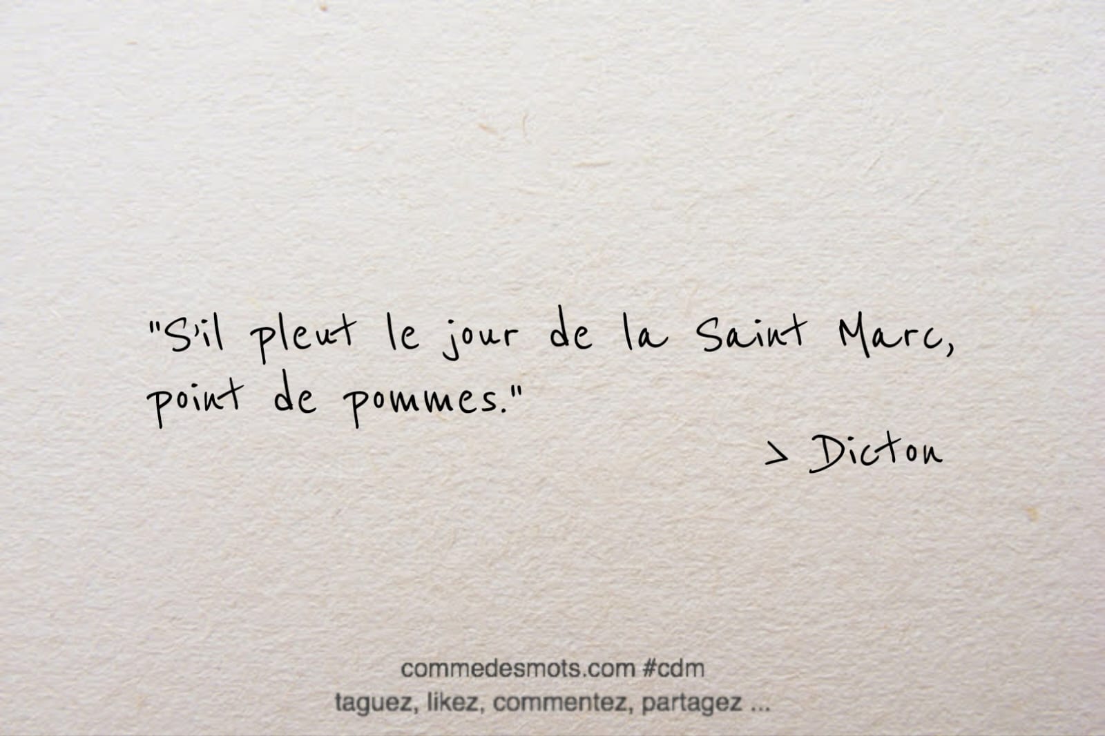 Dicton du 25 avril jour de la Saint Marc : "S’il pleut le jour de la Saint Marc, point de pommes."