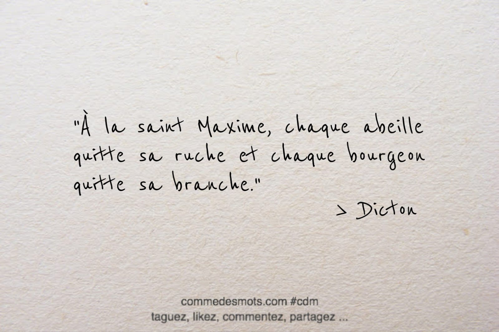 dicton du 14 avril jour de la Saint Maxime : "À la saint Maxime, chaque abeille quitte sa ruche et chaque bourgeon quitte sa branche."