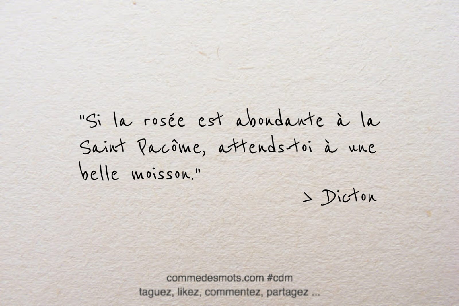 Image d'un dicton pour le 9 mai jour de la Saint Pacôme écrite en lettres noires sur un fond gris représentant du papier mâché. Le dicton dit : 'Si la rosée est abondante à la Saint Pacôme, attends-toi à une belle moisson'. Les mots sont placés au centre de l'image."