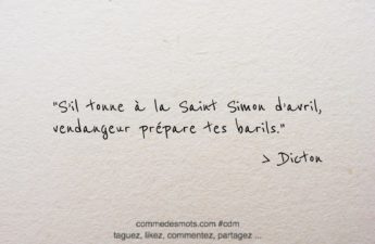 Dicton du 20 avril jour de la Saint Simon : "S’il tonne à la Saint Simon d’avril, vendangeur prépare tes barils."