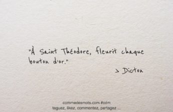 Dicton du 20 avril jour de la Saint Théodore : "Le dicton "À Saint Théodore, fleurit chaque bouton d'or" est une expression populaire qui fait référence à la floraison des boutons d'or à la Saint Théodore, célébrée le 20 avril. Les boutons d'or sont de petites fleurs jaunes qui poussent dans les prairies et les champs, et qui sont souvent associées au printemps. Ce dicton suggère que la floraison des boutons d'or commence à la Saint Théodore, ce qui peut être considéré comme un signe de l'arrivée du printemps. Cependant, il convient de noter que les conditions météorologiques et les variations climatiques peuvent affecter la floraison des plantes et des fleurs, et que ce dicton peut ne pas être vrai dans toutes les régions ou tous les climats."