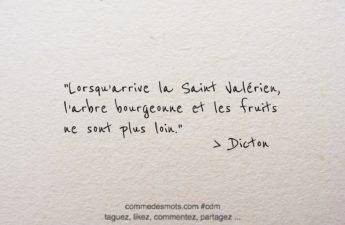 dicton du 14 avril jour de la Saint Valérien : "Lorsqu’arrive la Saint Valérien, l’arbre bourgeonne et les fruits ne sont plus loin."