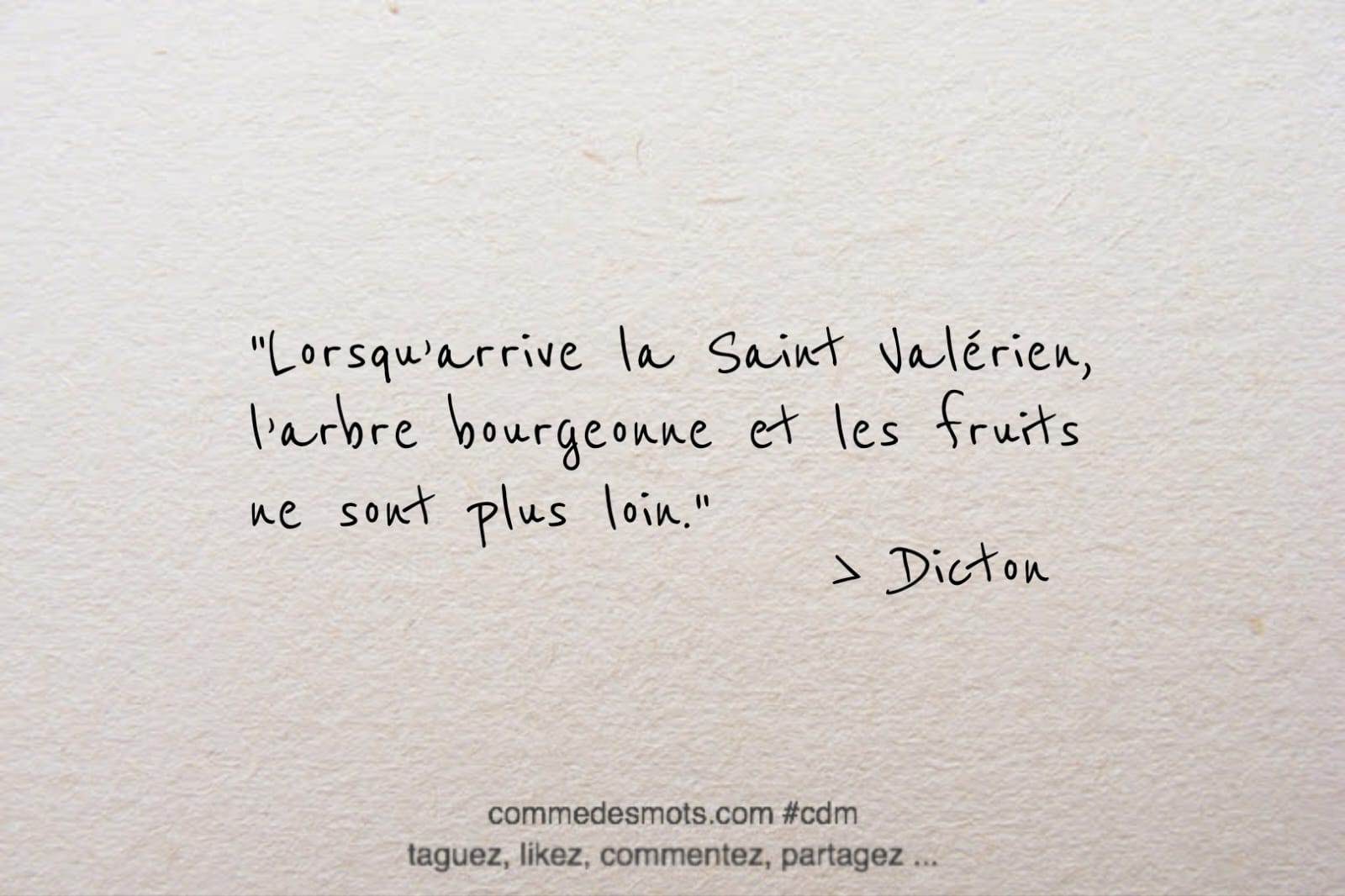 dicton du 14 avril jour de la Saint Valérien : "Lorsqu’arrive la Saint Valérien, l’arbre bourgeonne et les fruits ne sont plus loin."