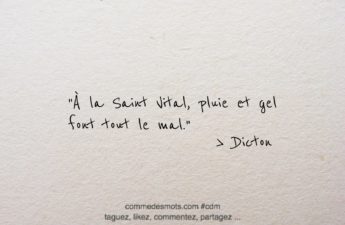 Dicton du 28 avril jour de la Saint Vital : "Le dicton du 28 avril, jour de la Saint Vital, est : "À la Saint Vital, pluie et gel font tout le mal". Ce dicton évoque les risques de mauvaises conditions météorologiques à cette période de l'année, qui peuvent avoir des conséquences néfastes sur les cultures et l'agriculture en général. Il est conseillé de prendre des précautions pour protéger les plantes et les cultures des effets du gel et des pluies abondantes à cette période de l'année."