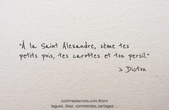 Dicton du 22 avril jour de la Saint-Alexandre : "À la Saint Alexandre, sème tes petits pois, tes carottes et ton persil."