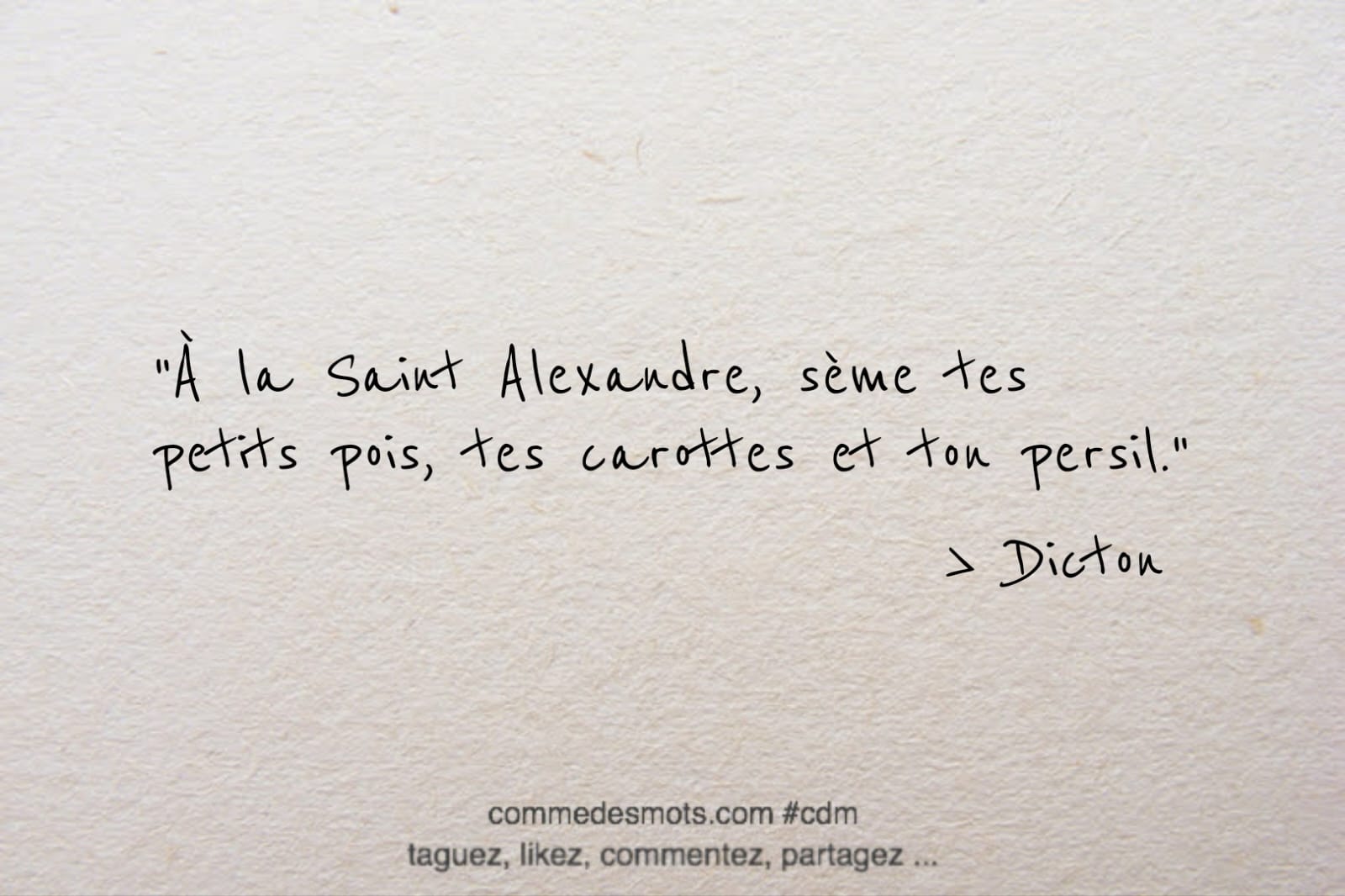 Dicton du 22 avril jour de la Saint-Alexandre : "À la Saint Alexandre, sème tes petits pois, tes carottes et ton persil."