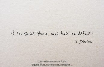 Image d'un dicton pour le 2 mai jour de la Saint Boris écrite en lettres noires sur un fond gris représentant du papier mâché. Le dicton dit : 'À la Saint Boris, mai fait ou défait'. Les mots sont placés au centre de l'image."