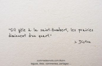 Dicton du 25 mars "S'il gèle à la Saint-Humbert, les prairies diminuent d'un quart."