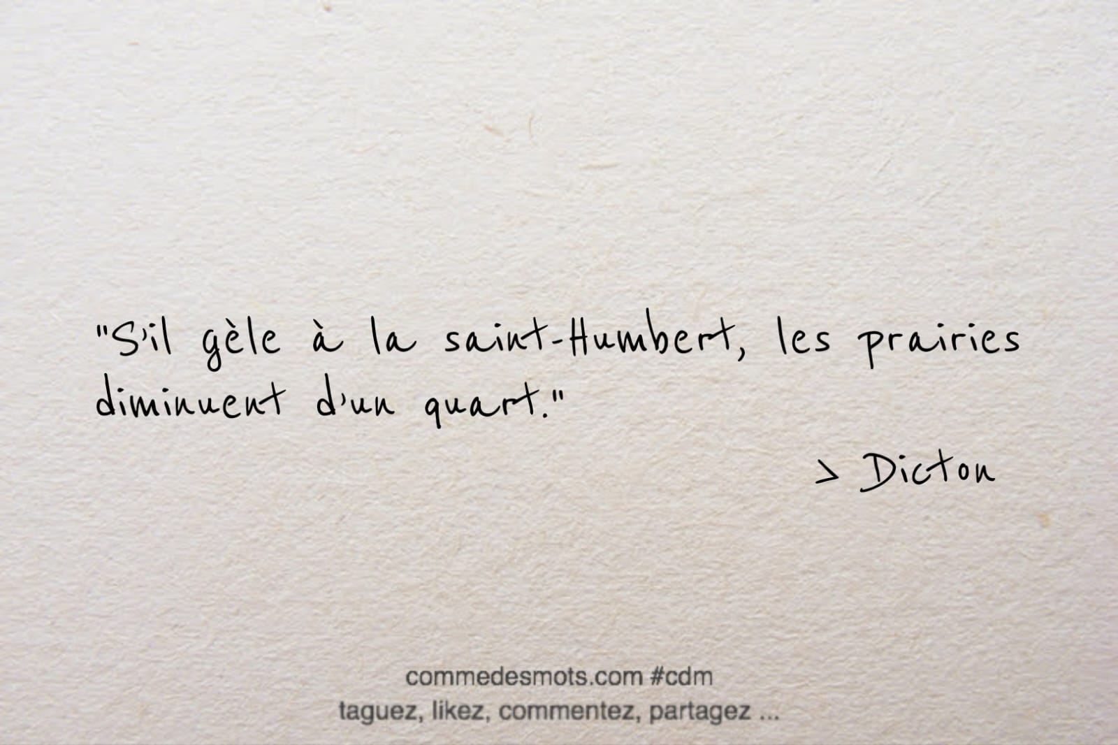 Dicton du 25 mars "S'il gèle à la Saint-Humbert, les prairies diminuent d'un quart."