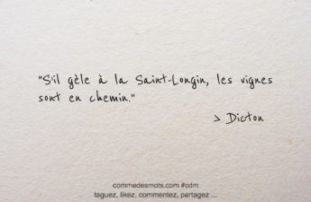 dicton du 15 mars pour la Sain-Longin : Selon la croyance populaire, si le temps est froid et qu'il gèle à cette date, cela peut avoir des conséquences sur la vigne et la récolte de raisins qui suivra. La phrase suggère que si le gel se produit à la Saint-Longin, les vignes sont en train de pousser ou en "chemin" pour leur développement, et le gel pourrait nuire à leur croissance.