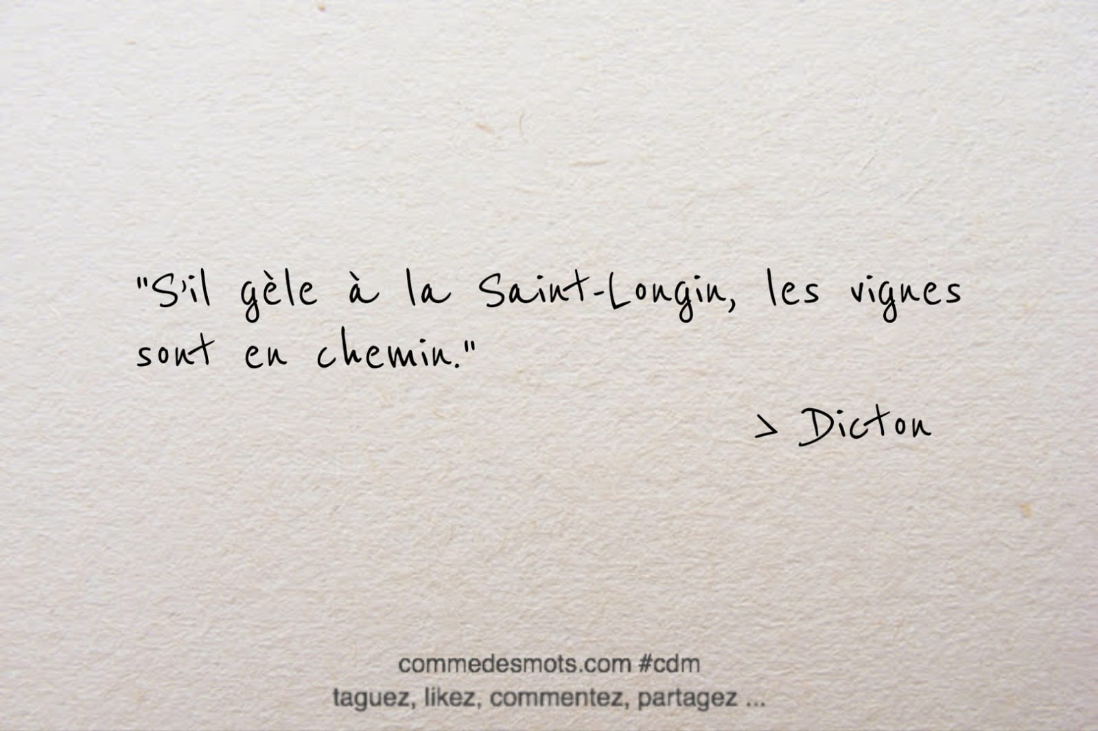 dicton du 15 mars pour la Sain-Longin : Selon la croyance populaire, si le temps est froid et qu'il gèle à cette date, cela peut avoir des conséquences sur la vigne et la récolte de raisins qui suivra. La phrase suggère que si le gel se produit à la Saint-Longin, les vignes sont en train de pousser ou en "chemin" pour leur développement, et le gel pourrait nuire à leur croissance.