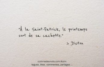 Dicton du jour (17 mars Saint-Patrick) : "À la Saint-Patrick, le printemps sort de sa cachette."