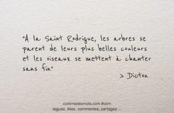 dicton du 13 mars : "A la Saint Rodrigue, les arbres se parent de leurs plus belles couleurs et les oiseaux se mettent à chanter sans fin"