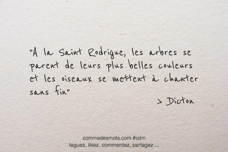 A la Saint Rodrigue, les arbres se parent de leurs plus belles couleurs