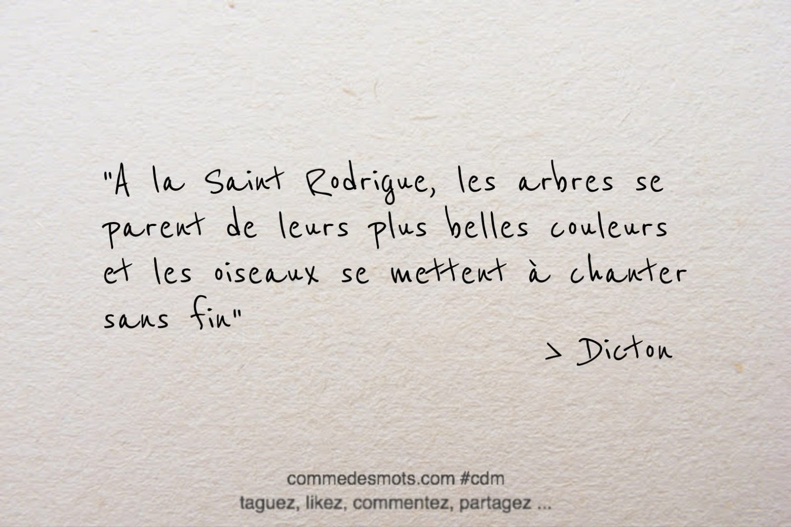 dicton du 13 mars : "A la Saint Rodrigue, les arbres se parent de leurs plus belles couleurs et les oiseaux se mettent à chanter sans fin"