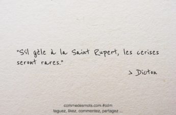 dicton du 27 mars "S'il gèle à la Saint Rupert, les cerises seront rares."