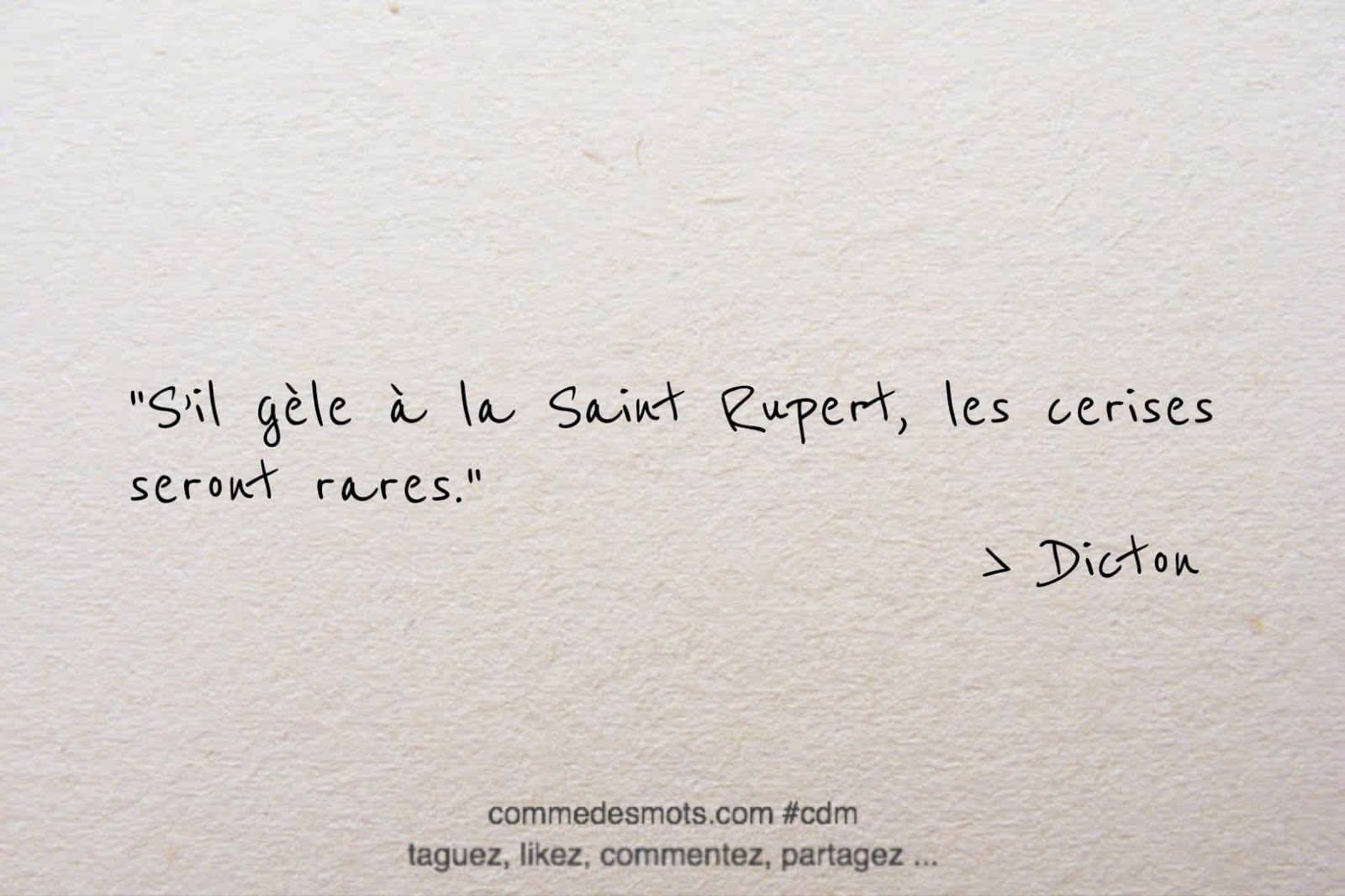 dicton du 27 mars "S'il gèle à la Saint Rupert, les cerises seront rares."