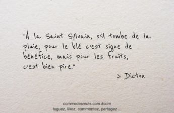 Image d'un dicton pour le 4 mai jour de la Saint Sylvain écrite en lettres noires sur un fond gris représentant du papier mâché. Le dicton dit : 'À la Saint Sylvain, s'il tombe de la pluie, pour le blé c'est signe de bénéfice, mais pour les fruits, c'est bien pire'. Les mots sont placés au centre de l'image."