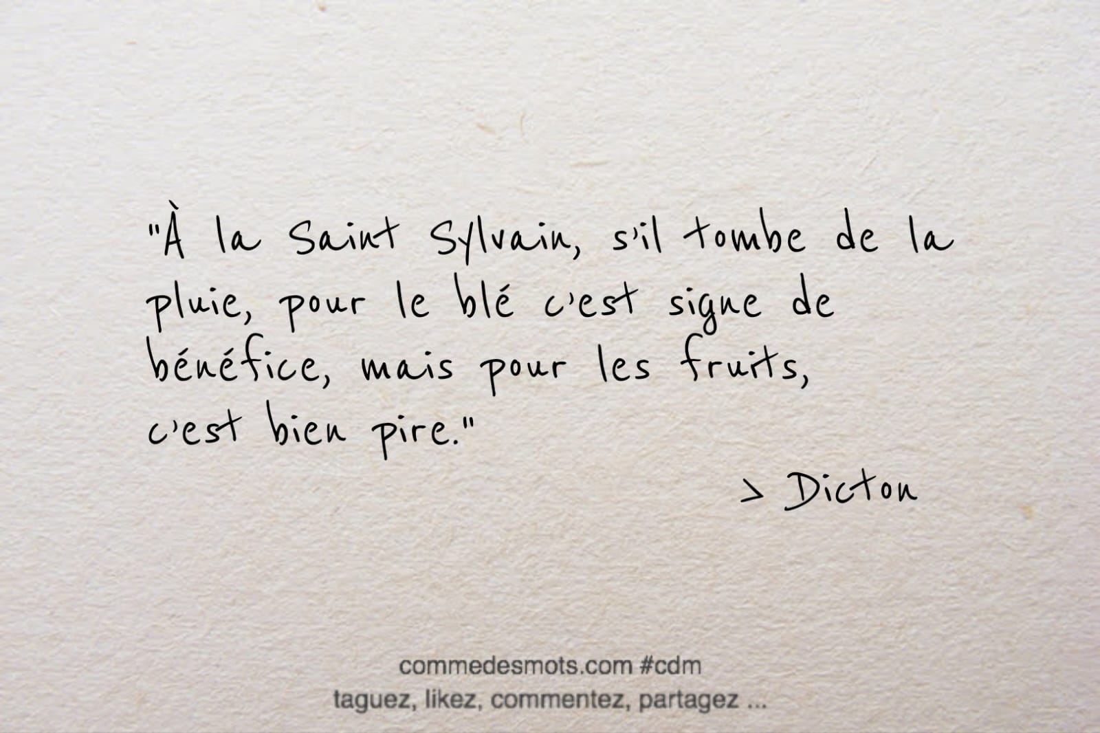 Image d'un dicton pour le 4 mai jour de la Saint Sylvain écrite en lettres noires sur un fond gris représentant du papier mâché. Le dicton dit : 'À la Saint Sylvain, s'il tombe de la pluie, pour le blé c'est signe de bénéfice, mais pour les fruits, c'est bien pire'. Les mots sont placés au centre de l'image."