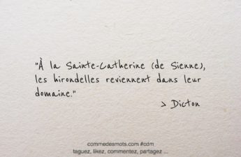 Dicton du 29 avril jour de la Sainte Catherine de Sienne : "À la Sainte-Catherine (de Sienne), les hirondelles reviennent dans leur domaine."