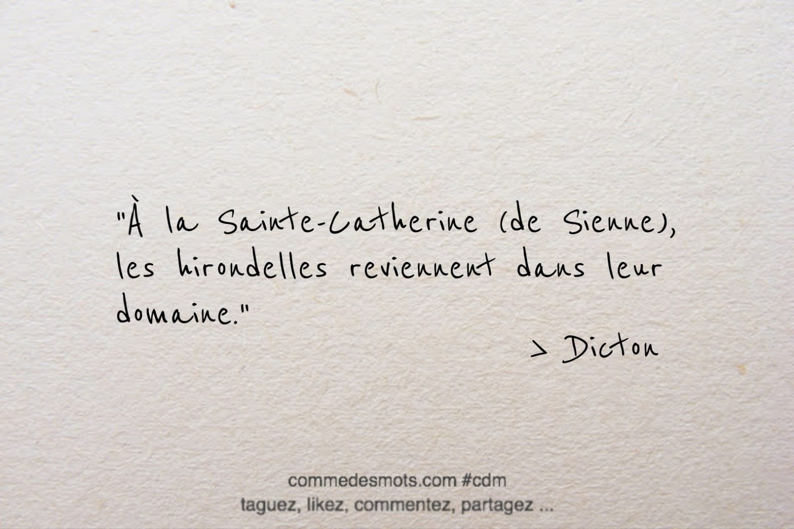 Dicton du 29 avril jour de la Sainte Catherine de Sienne : "À la Sainte-Catherine (de Sienne), les hirondelles reviennent dans leur domaine."