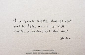 Dicton du 20 avril jour de la Sainte Odette : "À la Sainte Odette, pluie et vent font la fête"