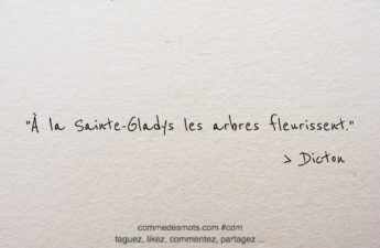 Dicton du jour (29 mars) :"À la Sainte-Gladys les arbres fleurissent."