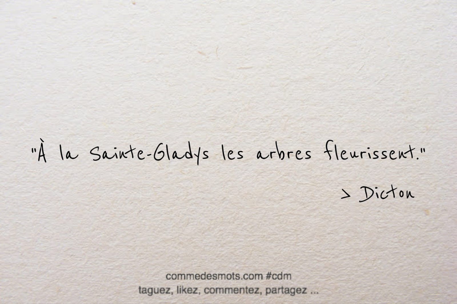 Dicton du jour (29 mars) :"À la Sainte-Gladys les arbres fleurissent."