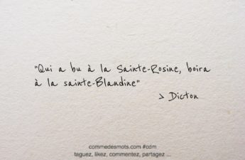 dicton du 11 mars : Qui a bu à la Sainte-Rosine, boira à la Sainte-Blandine