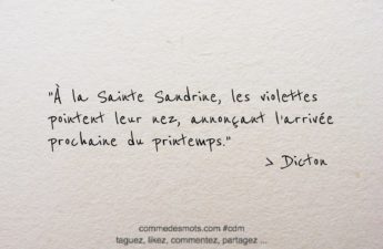 Dicton du jour de la Sainte Sandrine ( 2 avril) : À la Sainte Sandrine, les violettes pointent leur nez, annonçant l’arrivée prochaine du printemps.