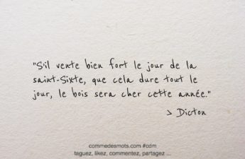 Dicton du 3 avril jour de la Saint Sixte "S’il vente bien fort le jour de la saint-Sixte, que cela dure tout le jour, le bois sera cher cette année."