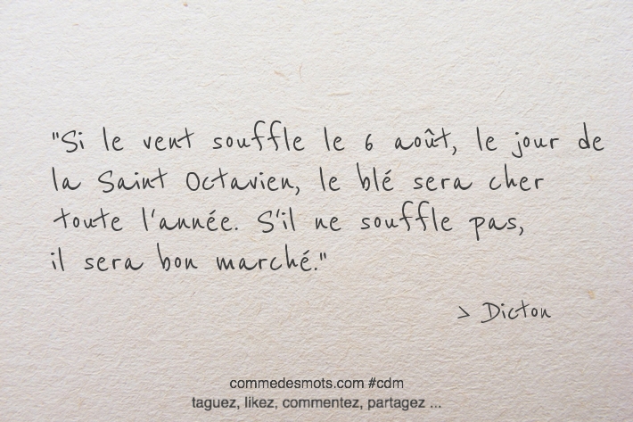 Si le vent souffle le 6 août, le jour de la Saint Octavien