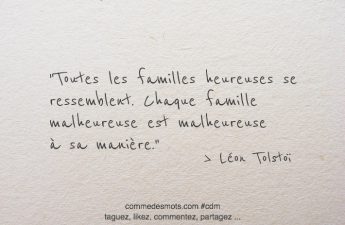 Toutes les familles heureuses se ressemblent