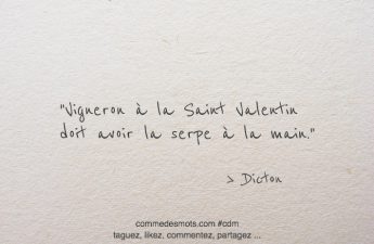 Vigneron à la Saint Valentin doit avoir la serpe à la main.