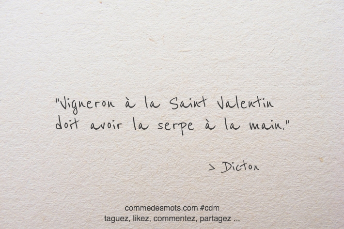 Vigneron à la Saint Valentin doit avoir la serpe à la main.