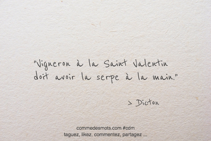 Vigneron à la Saint Valentin doit avoir la serpe à la main.