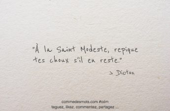 À la Saint Modeste, repiquer tes choux s'il en reste.