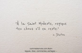 À la Saint Modeste, repiquer tes choux s'il en reste.