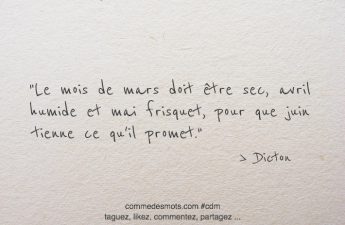 Dicton du 21 mars jour de la Sainte Léa : "Le mois de mars doit être sec, avril humide et mai frisquet, pour que juin tienne ce qu'il promet."