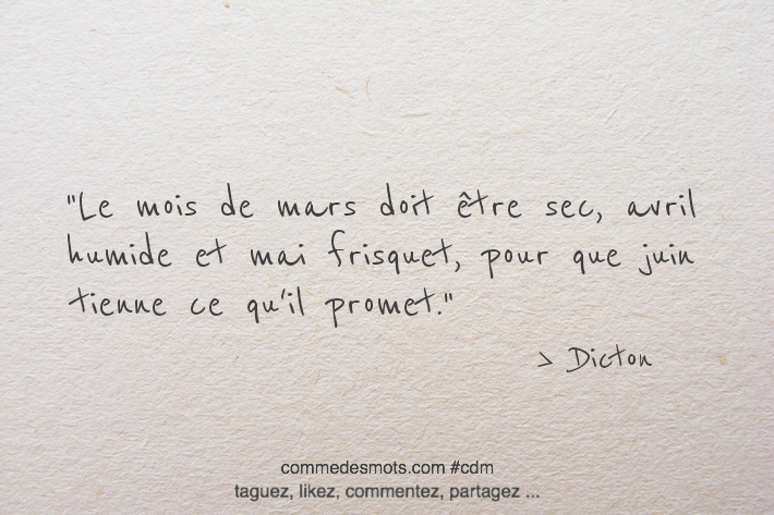 Dicton du 21 mars jour de la Sainte Léa : "Le mois de mars doit être sec, avril humide et mai frisquet, pour que juin tienne ce qu'il promet."